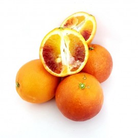 Orange Sanguine
