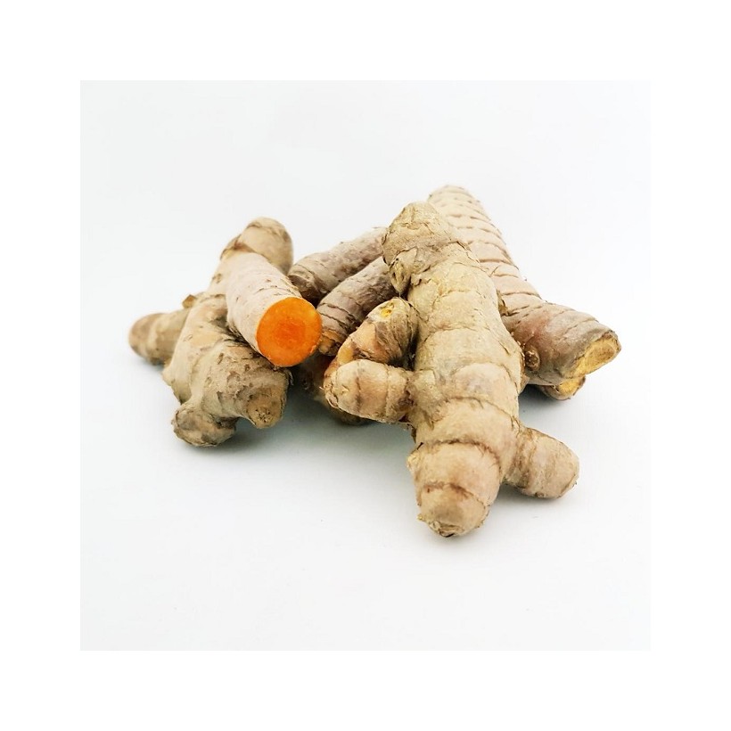 Curcuma