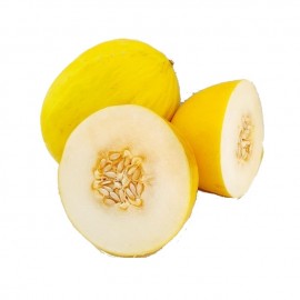 Melon jaune