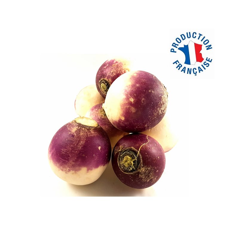 Navet rond violet Navet rond violet