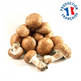 Champignons de Paris Bruns