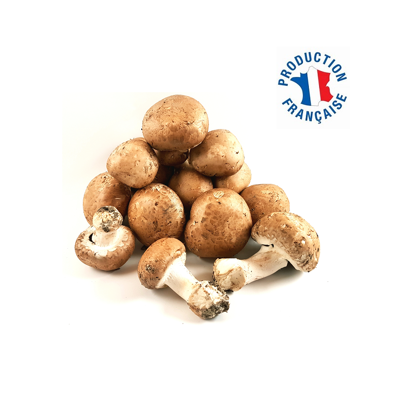 Champignons de Paris Bruns