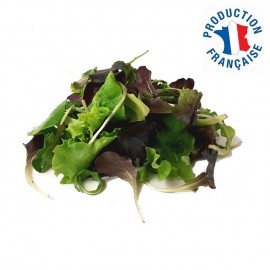 Mesclun