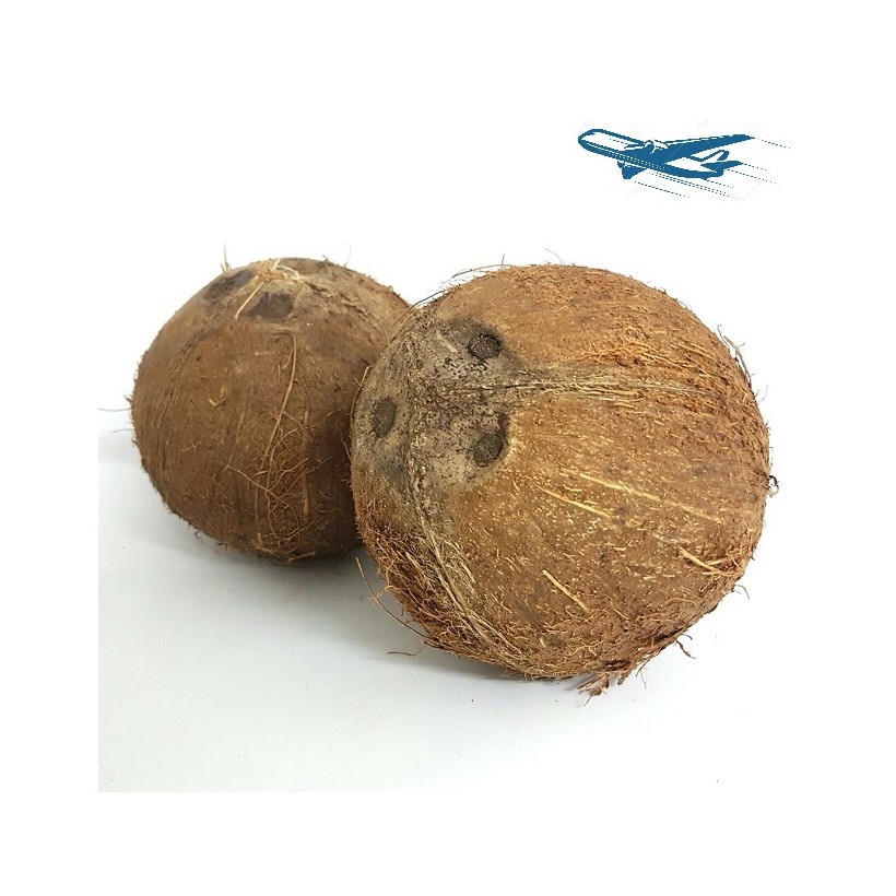 Noix de coco Noix de coco