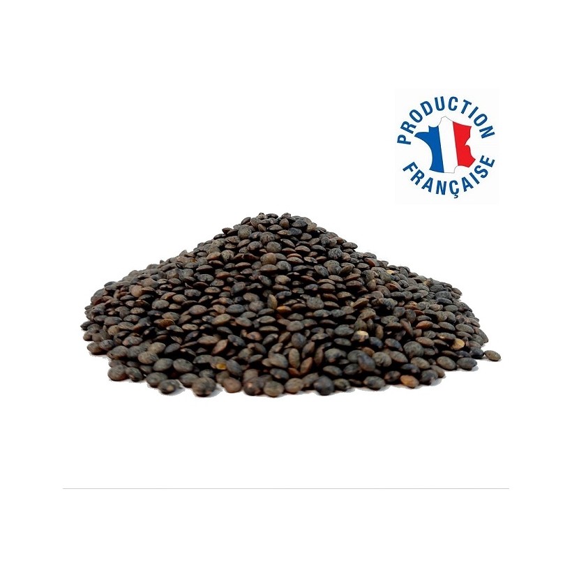 Lentilles Vertes Lentilles Vertes