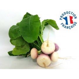 Navet Nouveau