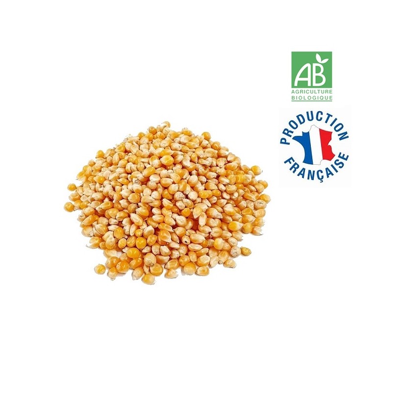 Maïs Pop Corn Maïs Pop Corn