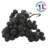 Raisin Muscat d'Hambourg