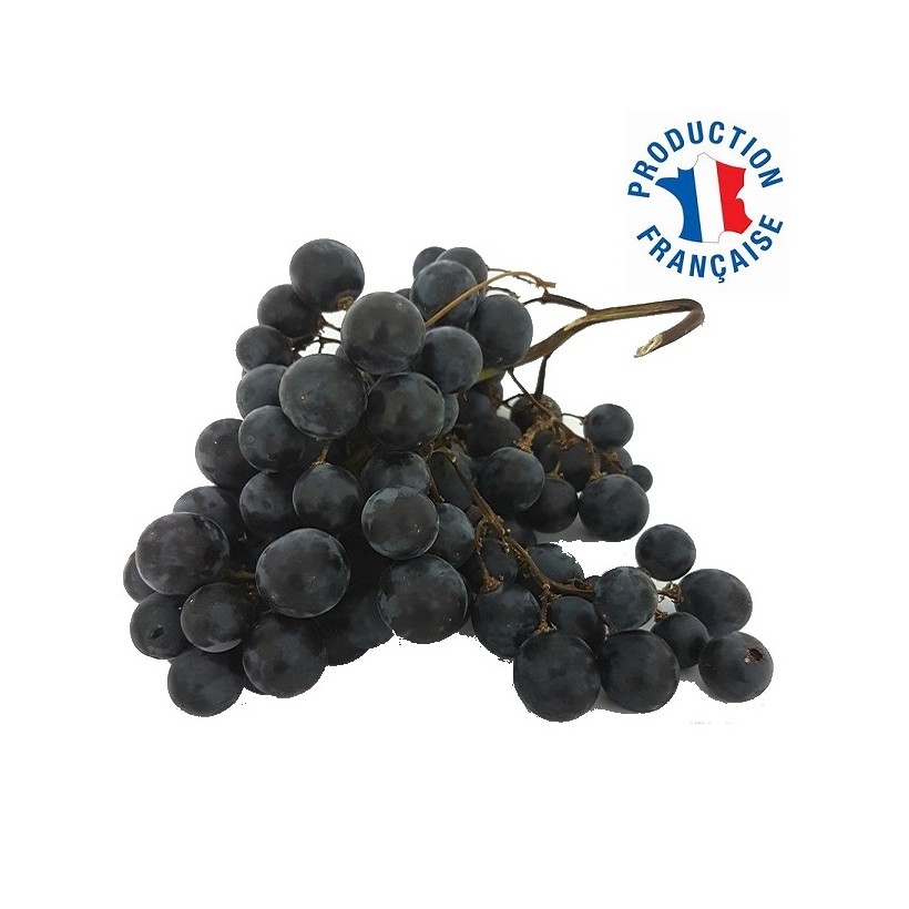 Raisin Muscat d'Hambourg