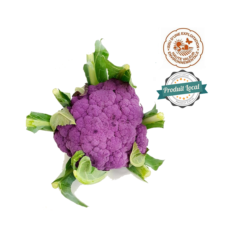 Chou fleurs violet Chou fleurs violet