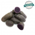 Pomme de terre Vitelotte
