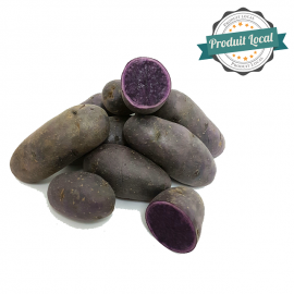 Pomme de terre Vitelotte