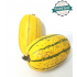 Courge Spaghetti