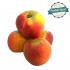 Pomme Reine des Reinettes