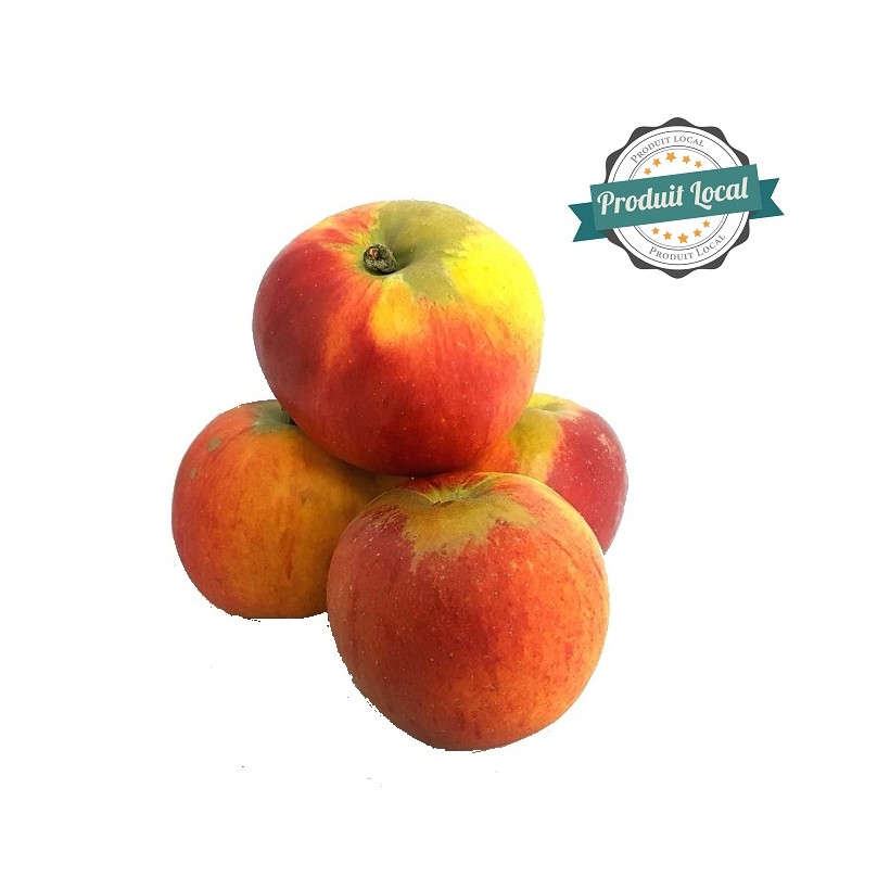 Pomme Reine des Reinettes
