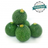 Courgette Ronde