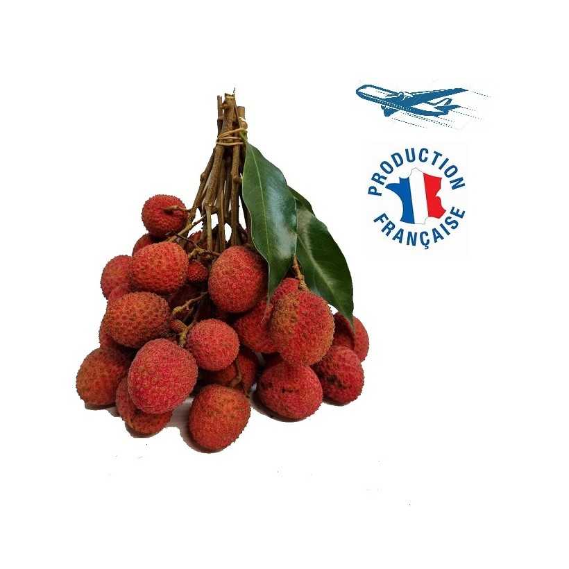 Litchi Litchi