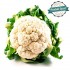 Chou Fleurs