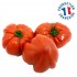 Tomate Cœur de Bœuf