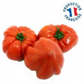 Tomate Cœur de Bœuf