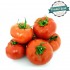 Tomate à Farcir