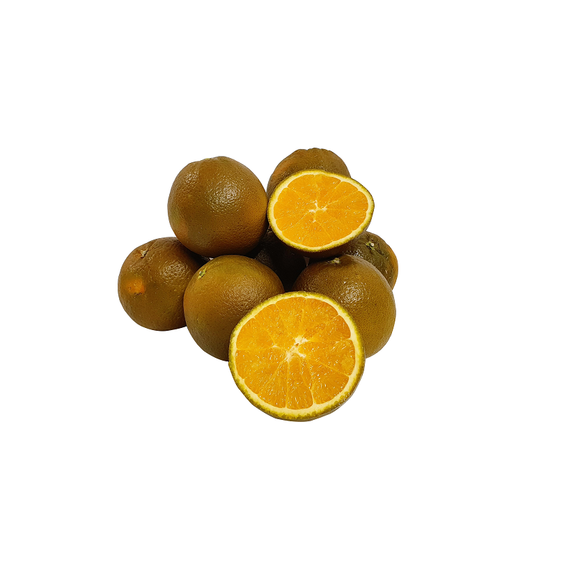 Orange Chocolat Orange Chocolat