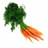 Carottes nouvelles