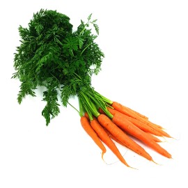 Carottes nouvelles