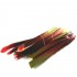 Rhubarbe