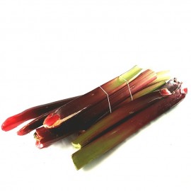 Rhubarbe