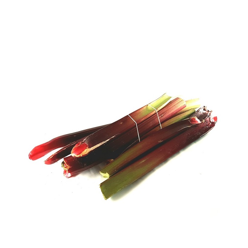 Rhubarbe