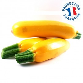 Courgette jaune