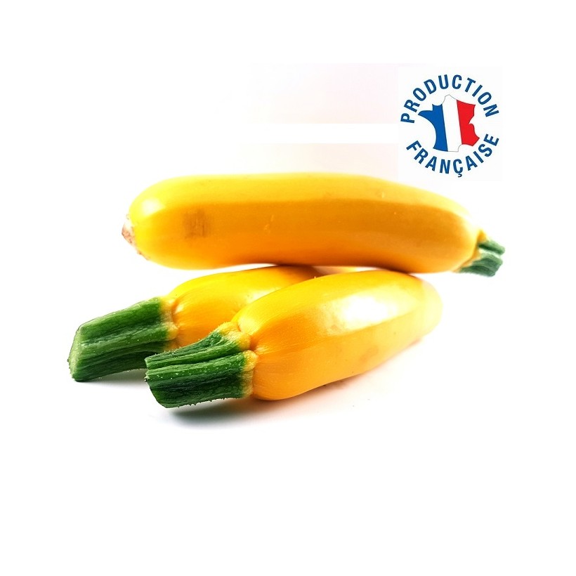 Courgette jaune