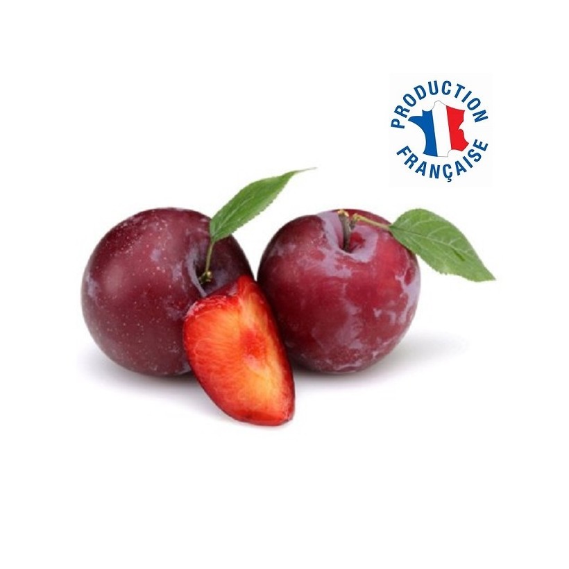 Prune rouge