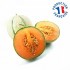 Melon