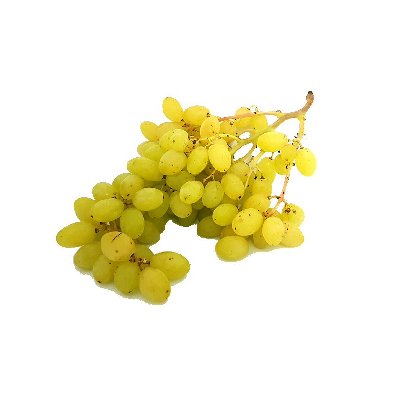 Raisin sans pépins