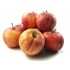 Pomme Gala