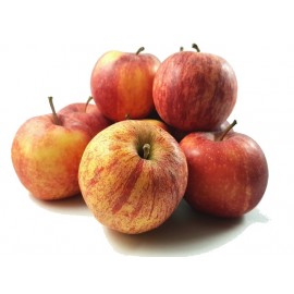 Pomme Gala