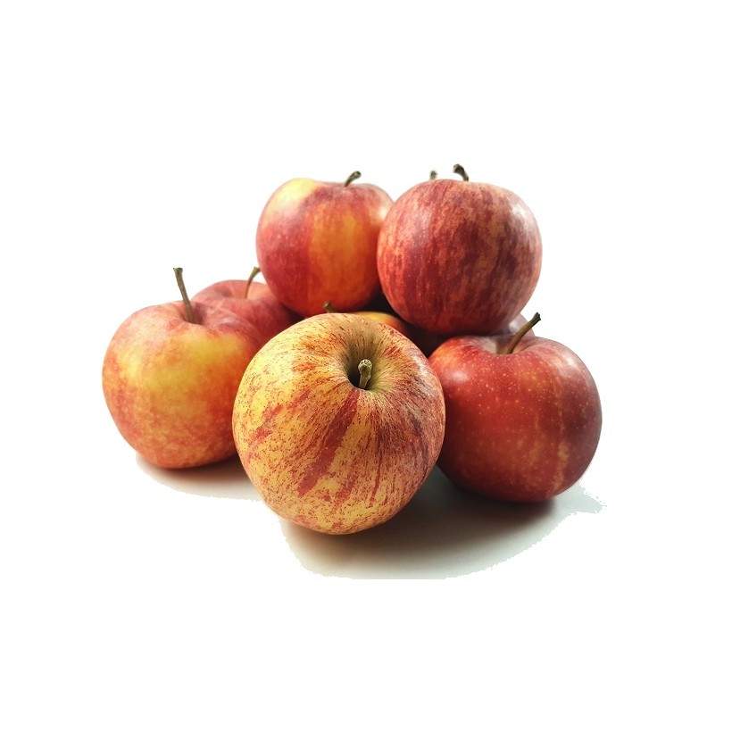 Pomme Gala