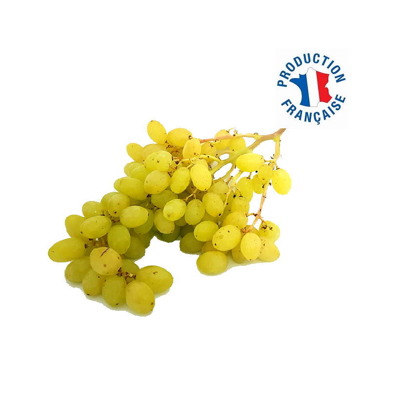 Raisin sans pépins Raisin sans pépins