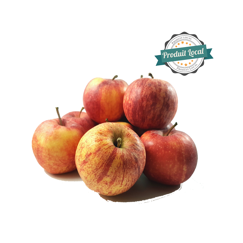 Pomme Gala Pomme Gala