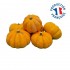 Jack bee little*6