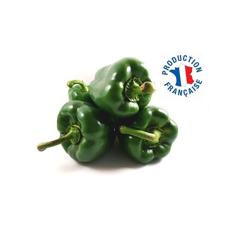 Poivron Vert Poivron Vert