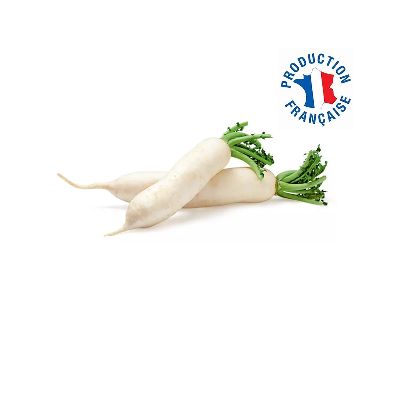 Radis long blanc Radis long blanc