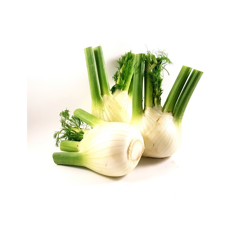 Fenouil