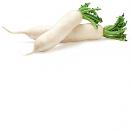 Radis long blanc