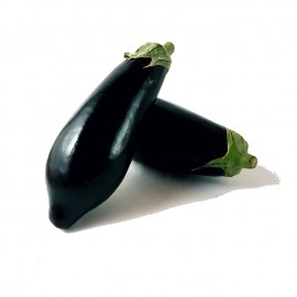 Aubergine