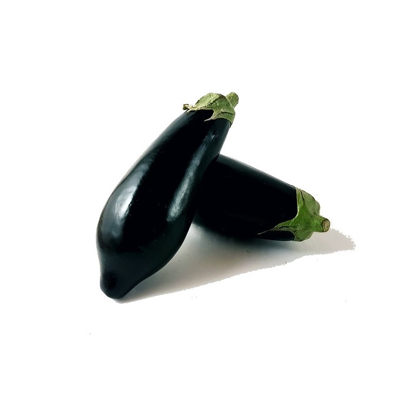 Aubergine
