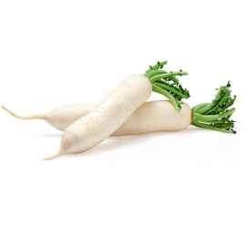 Radis long blanc