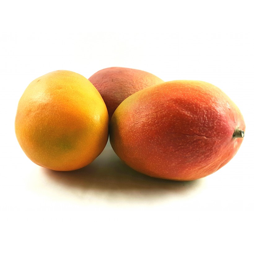 Mangue